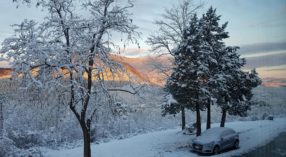 51010725_4059561747396424_3693321074516164608_n[1]